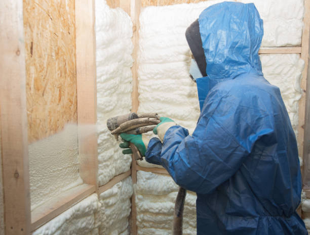 Best Soundproof Insulation  in Sandy Valley, NV